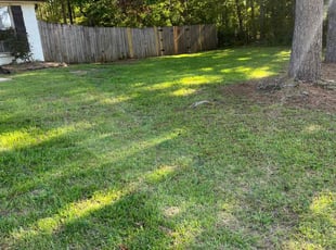 Brian B.'s lawn care service result