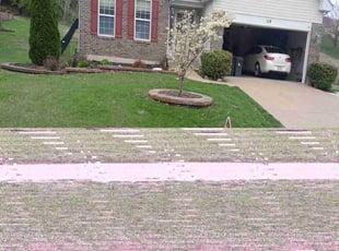 Paul H.'s lawn maintenance service result