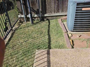 Deann T.'s grass cutting service result