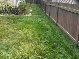 Shayla M.'s turf maintenance service result