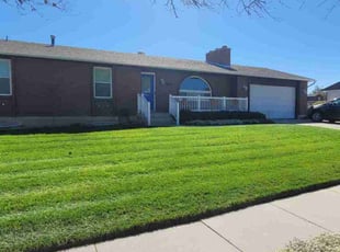 Zane L.'s lawn care services service result