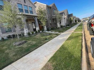 Birendra D.'s turf maintenance service result