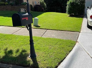 Christa Q.'s turf maintenance service result