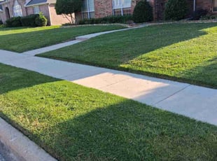 Pa Y.'s turf maintenance service result