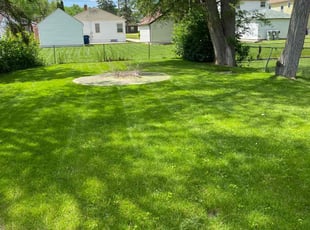Linda E.'s lawn maintenance service result