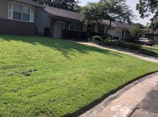 Amber H.'s grass maintenance service result