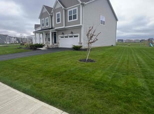 Farheen R.'s lawn care service result