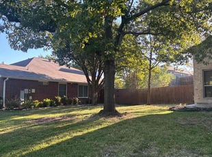 Robert F.'s Long Grass Cleanup service result