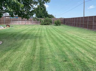 Krystal G.'s lawn service service result