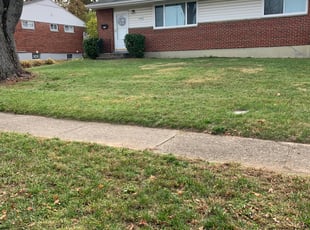 Matthew S.'s Leaf Removal service result