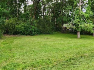 Chris G.'s lawn care service result