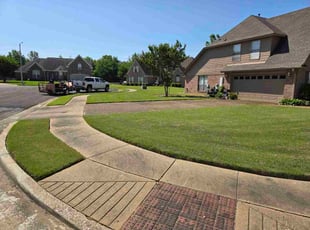 Haley K.'s lawn care service result