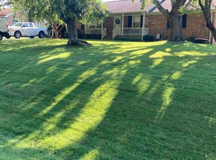 Matthew F.'s lawn care services service result