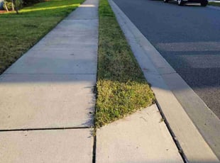 Robert M.'s lawn care services service result