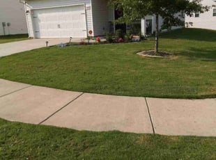 Carrie F.'s grass cutting service result