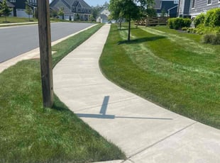 Audrey O.'s grass maintenance service result
