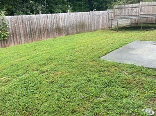 Bob P.'s lawn maintenance service result