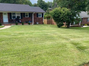 Tony M.'s turf care service result