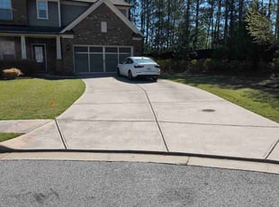 Ali G.'s lawn service service result