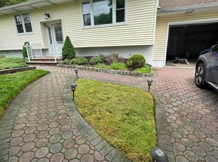 Luis S.'s grass maintenance service result