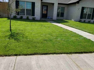 Mercedes R.'s grass maintenance service result