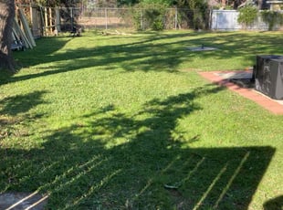 Andy D.'s turf care service result