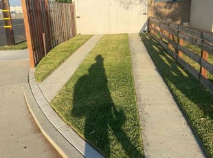 Randy D.'s grass cutting service result
