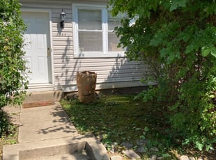 David P.'s Bush Trimming service result