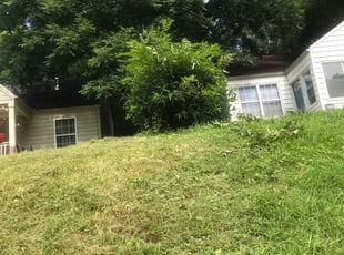 Patricia L.'s Bush Trimming service result