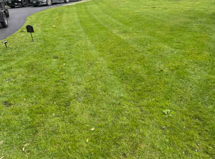 Charlie D.'s lawn care services service result
