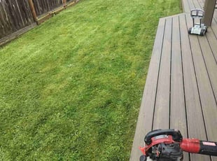 Lee M.'s turf care service result