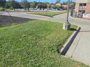 William R.'s turf care service result