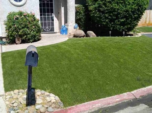 Donald B.'s Bush Trimming service result