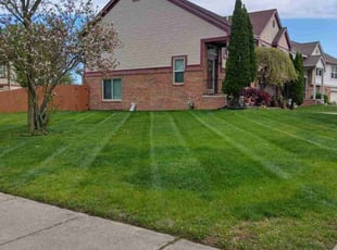 Kevin K.'s lawn maintenance service result