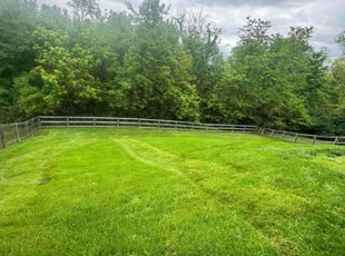 Ben S.'s grass maintenance service result