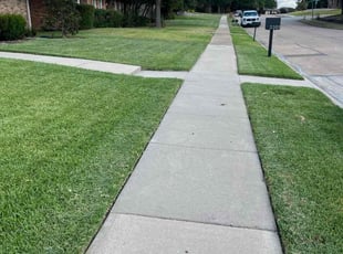 Bruce H.'s turf maintenance service result