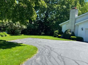 Tom K.'s grass maintenance service result