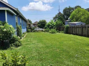 Jack R.'s turf care service result