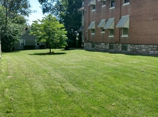 Melody O.'s Bush Trimming service result