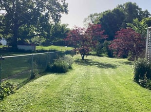 Steve P.'s lawn care service result