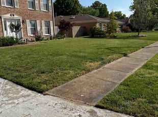 Allison V.'s grass maintenance service result