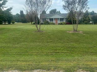 Matt B.'s lawn care services service result