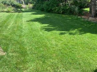 Tami S.'s lawn care services service result