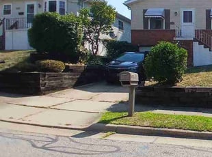 George K.'s Bush Trimming service result