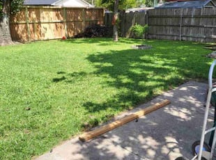 Paulina S.'s Leaf Removal service result