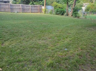 Patrick J.'s turf care service result