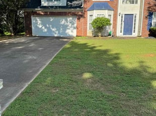 Patricia R.'s grass maintenance service result