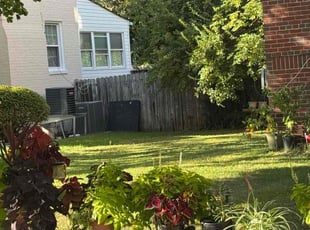 Tim M.'s turf maintenance service result