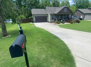 Kimberly B.'s turf care service result