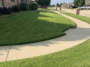 Khoi N.'s lawn service service result